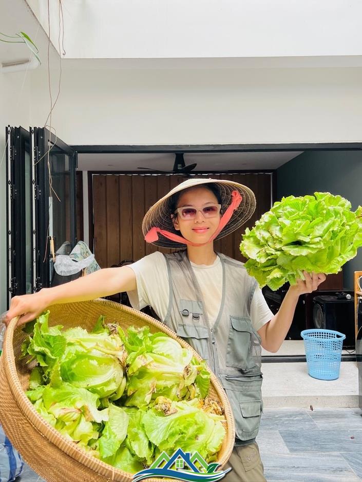 Mê mẩn khu vườn sân thượng đẹp 'như vẽ bằng AI' của mẹ đảm Đà Nẵng Mê mẩn khu vườn sân thượng đẹp 'như vẽ bằng AI' của mẹ đảm Đà Nẵng