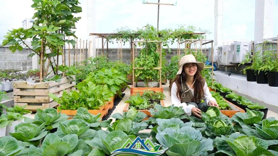 Mê mẩn khu vườn sân thượng đẹp 'như vẽ bằng AI' của mẹ đảm Đà Nẵng Mê mẩn khu vườn sân thượng đẹp 'như vẽ bằng AI' của mẹ đảm Đà Nẵng