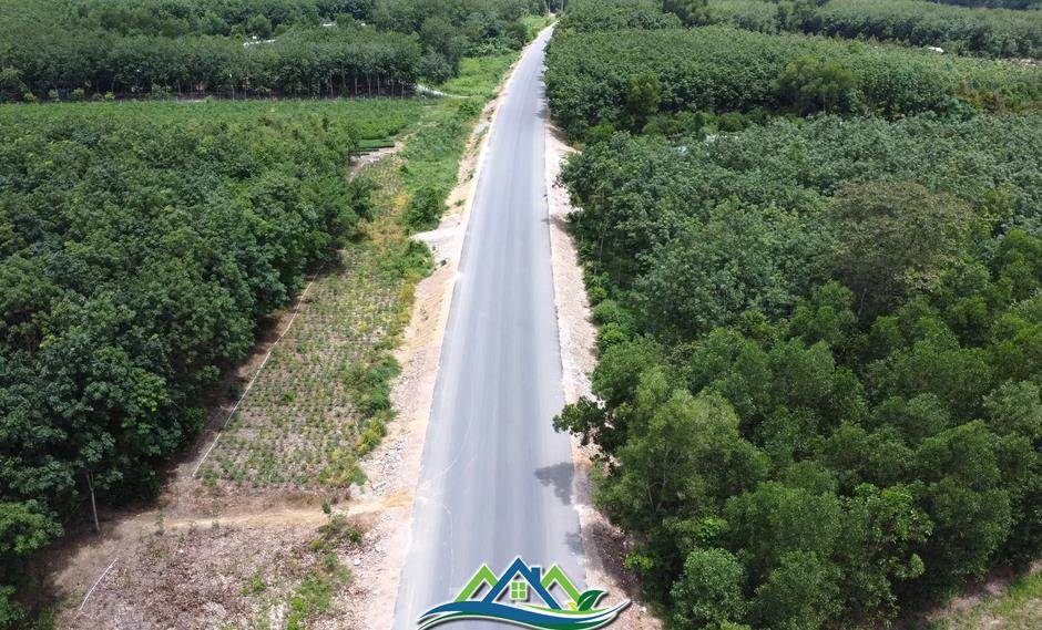 Ngắm tuyến đường như dải lụa xuyên rừng nối các tỉnh, thành miền Đông Nam bộ Ngắm tuyến đường như dải lụa xuyên rừng nối các tỉnh, thành miền Đông Nam bộ