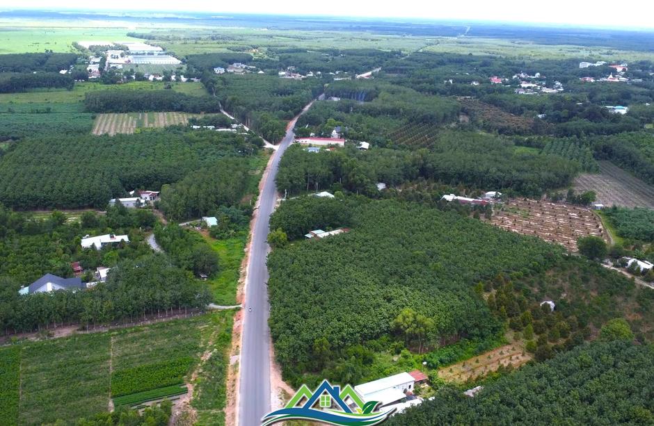 Ngắm tuyến đường như dải lụa xuyên rừng nối các tỉnh, thành miền Đông Nam bộ Ngắm tuyến đường như dải lụa xuyên rừng nối các tỉnh, thành miền Đông Nam bộ