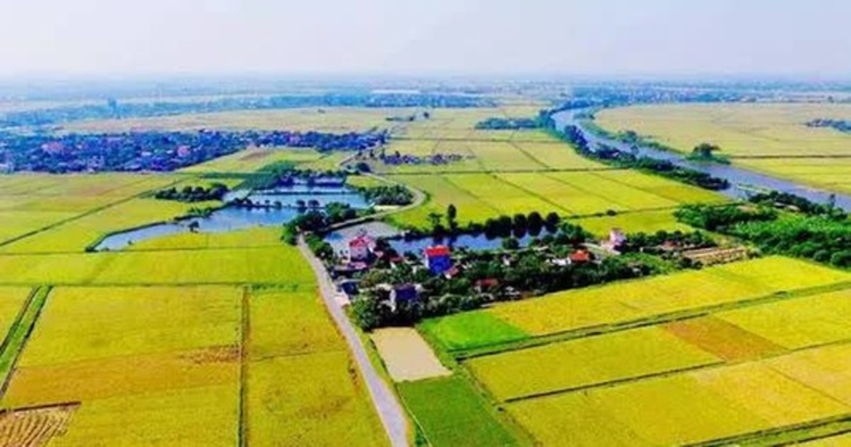 Ngày 30/5, hạn cuối nộp giấy đề nghị gia hạn tiền thuế, tiền thuê đất