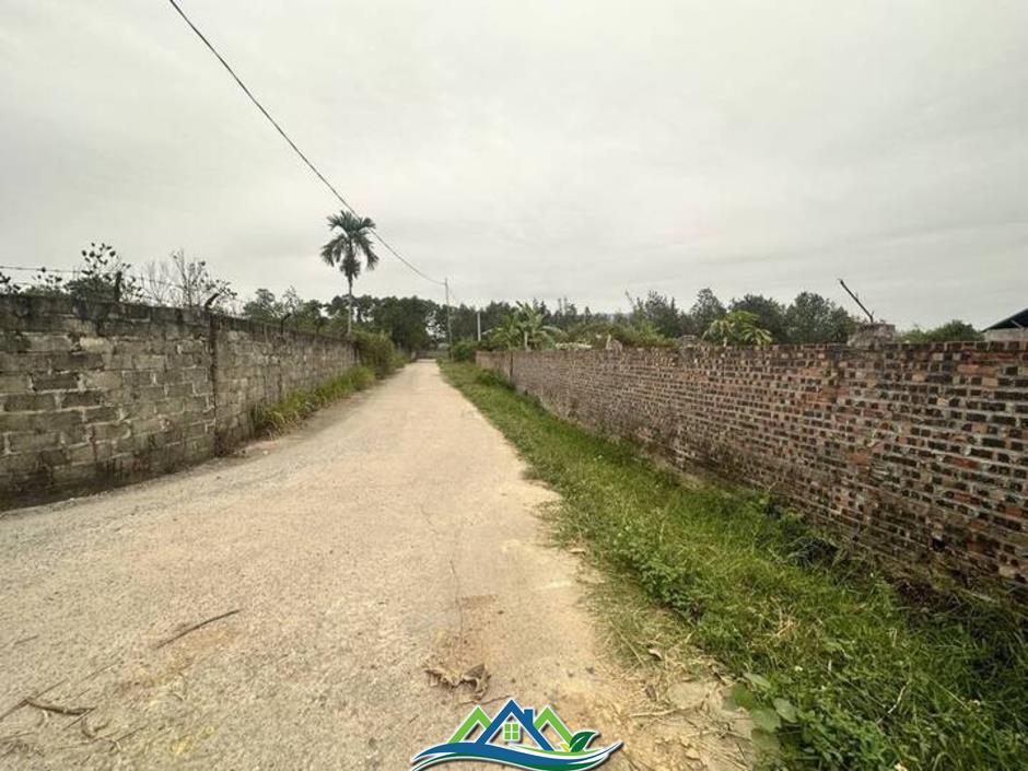 Nhà đầu tư lùng mua đất nông nghiệp, chờ thời tăng giá Nhà đầu tư lùng mua đất nông nghiệp, chờ thời tăng giá