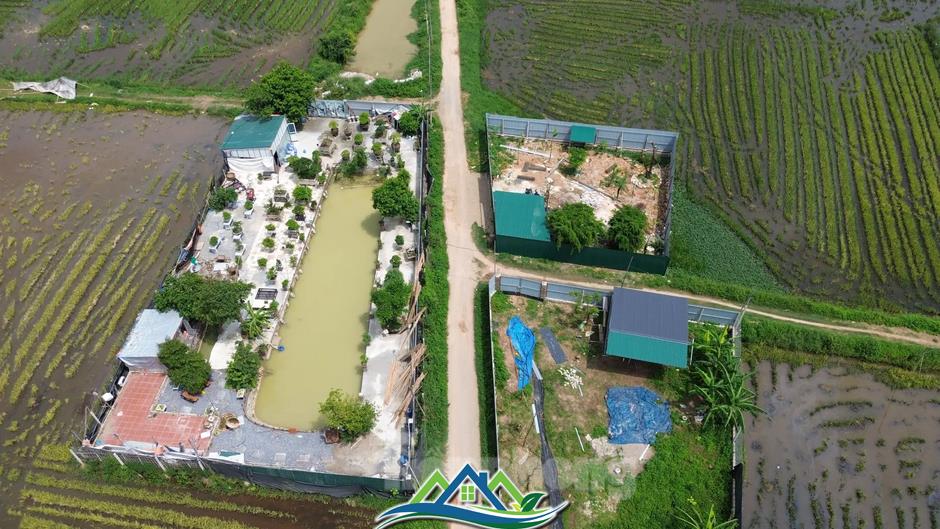 Nhiều công trình vi phạm đất đai, trật tự xây dựng ở Hà Nội chưa được xử lý dứt điểm Nhiều công trình vi phạm đất đai, trật tự xây dựng ở Hà Nội chưa được xử lý dứt điểm