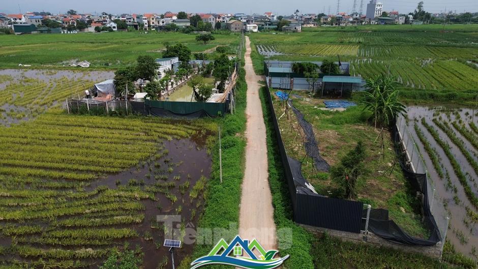 Nhiều công trình vi phạm đất đai, trật tự xây dựng ở Hà Nội chưa được xử lý dứt điểm Nhiều công trình vi phạm đất đai, trật tự xây dựng ở Hà Nội chưa được xử lý dứt điểm