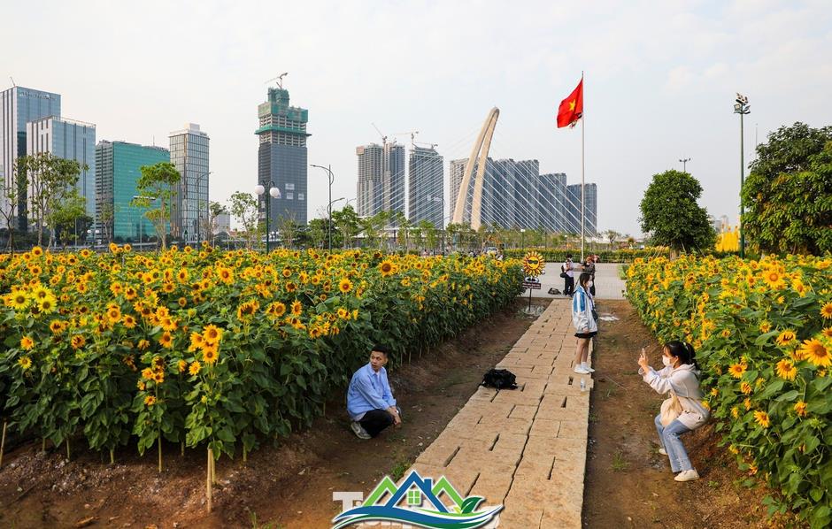 Những công trình góp phần thay đổi diện mạo TPHCM 5 năm qua Những công trình góp phần thay đổi diện mạo TPHCM 5 năm qua
