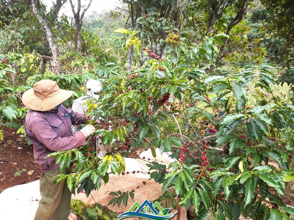Nút thắt đã được gỡ, nhưng vẫn còn khoảng trống Nút thắt đã được gỡ, nhưng vẫn còn khoảng trống