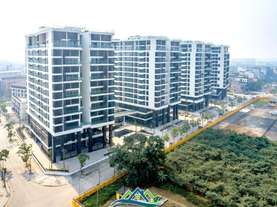 Sunshine Group livestream đặt giá căn hộ vào 1/7 chỉ với giá khởi điểm bằng 50% giá thị trường Sunshine Group livestream đặt giá căn hộ vào 1/7 chỉ với giá khởi điểm bằng 50% giá thị trường