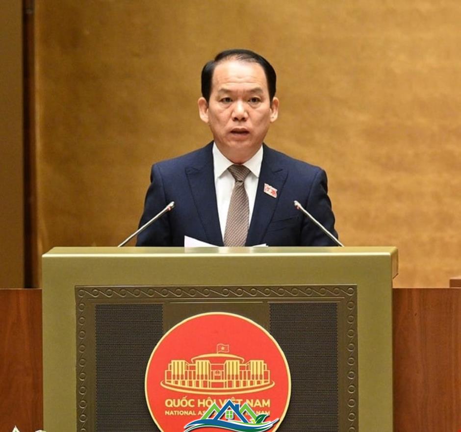 Tán thành chủ trương giao chủ đầu tư dự án nhà ở xã hội không thông qua đấu thầu Tán thành chủ trương giao chủ đầu tư dự án nhà ở xã hội không thông qua đấu thầu