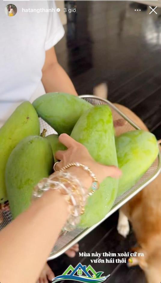 Tăng Thanh Hà khoe Tăng Thanh Hà khoe