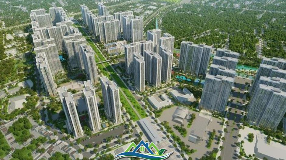 Thái Sơn cải thiện từ lỗ sang lãi, nợ gấp hơn 4 lần vốn chủ sở hữu Thái Sơn cải thiện từ lỗ sang lãi, nợ gấp hơn 4 lần vốn chủ sở hữu