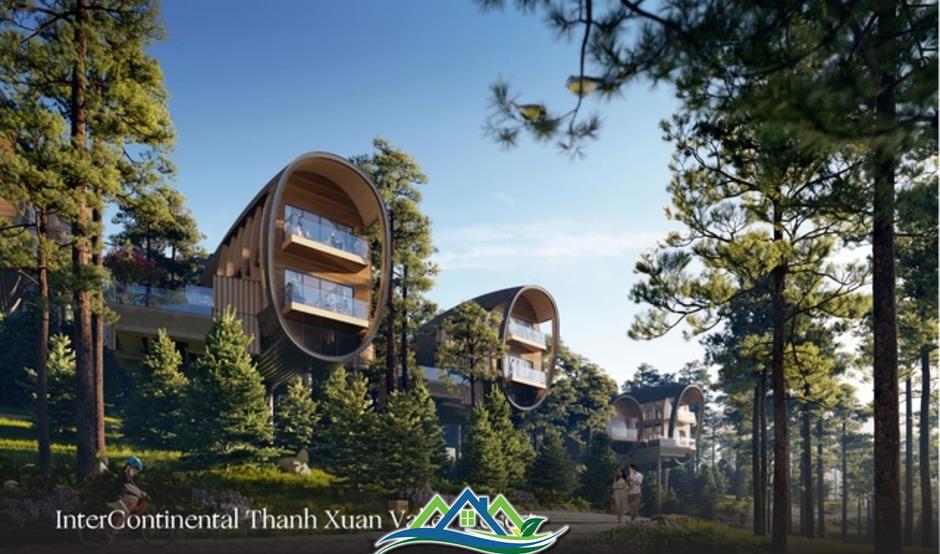 Thanh Xuan Valley: Nghệ thuật “may đo” không gian sống giữa thung lũng triệu thông reo Thanh Xuan Valley: Nghệ thuật “may đo” không gian sống giữa thung lũng triệu thông reo