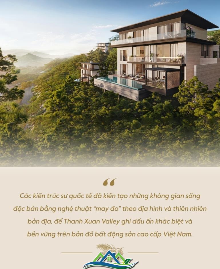 Thanh Xuan Valley: Nghệ thuật “may đo” không gian sống giữa thung lũng triệu thông reo Thanh Xuan Valley: Nghệ thuật “may đo” không gian sống giữa thung lũng triệu thông reo