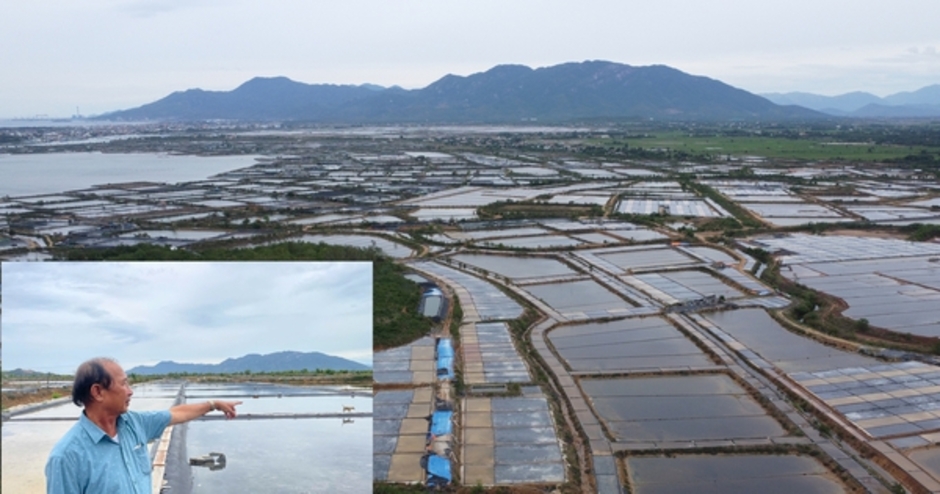 Thu hồi đất giá thấp để doanh nghiệp làm khu công nghiệp, diêm dân khiếu nại