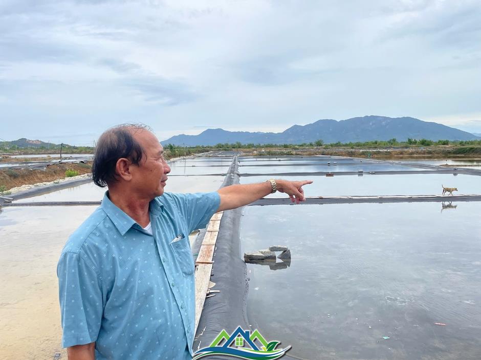 Thu hồi đất giá thấp để doanh nghiệp làm khu công nghiệp, diêm dân khiếu nại Thu hồi đất giá thấp để doanh nghiệp làm khu công nghiệp, diêm dân khiếu nại
