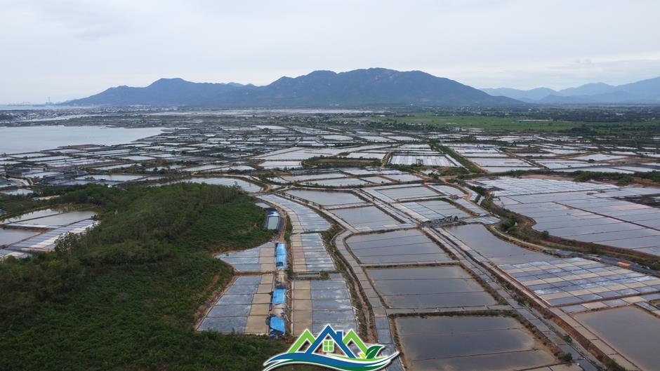 Thu hồi đất giá thấp để doanh nghiệp làm khu công nghiệp, diêm dân khiếu nại Thu hồi đất giá thấp để doanh nghiệp làm khu công nghiệp, diêm dân khiếu nại