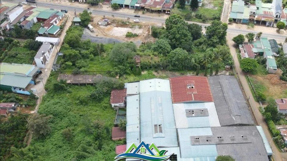 Thu hồi hơn 15.000 mét vuông đất dự án khu thưởng lãm của Công ty cà phê Trung Nguyên Thu hồi hơn 15.000 mét vuông đất dự án khu thưởng lãm của Công ty cà phê Trung Nguyên