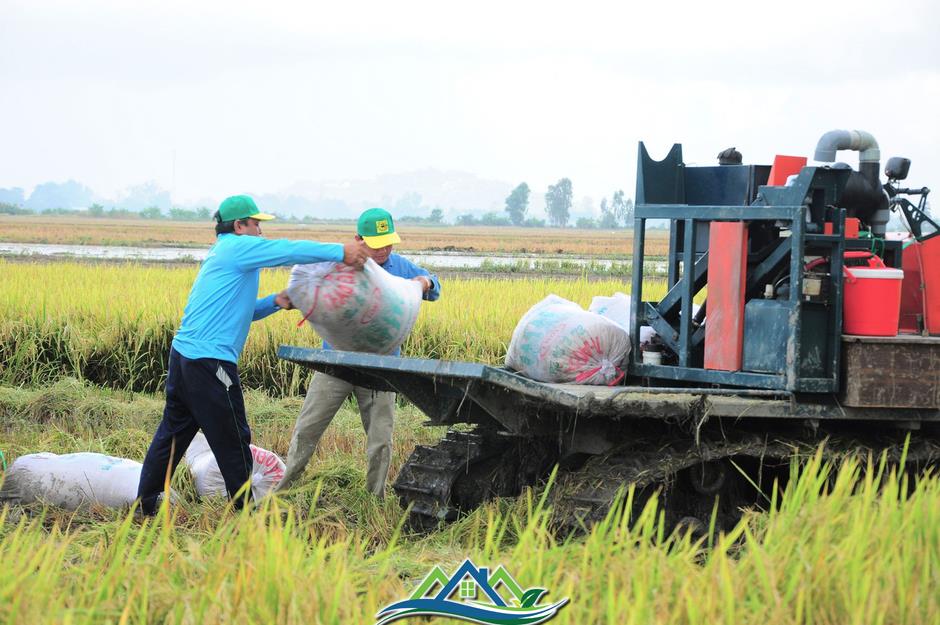 Thủ tướng giao khẩn trương gỡ khó cho các dự án trọng điểm miền Tây Thủ tướng giao khẩn trương gỡ khó cho các dự án trọng điểm miền Tây