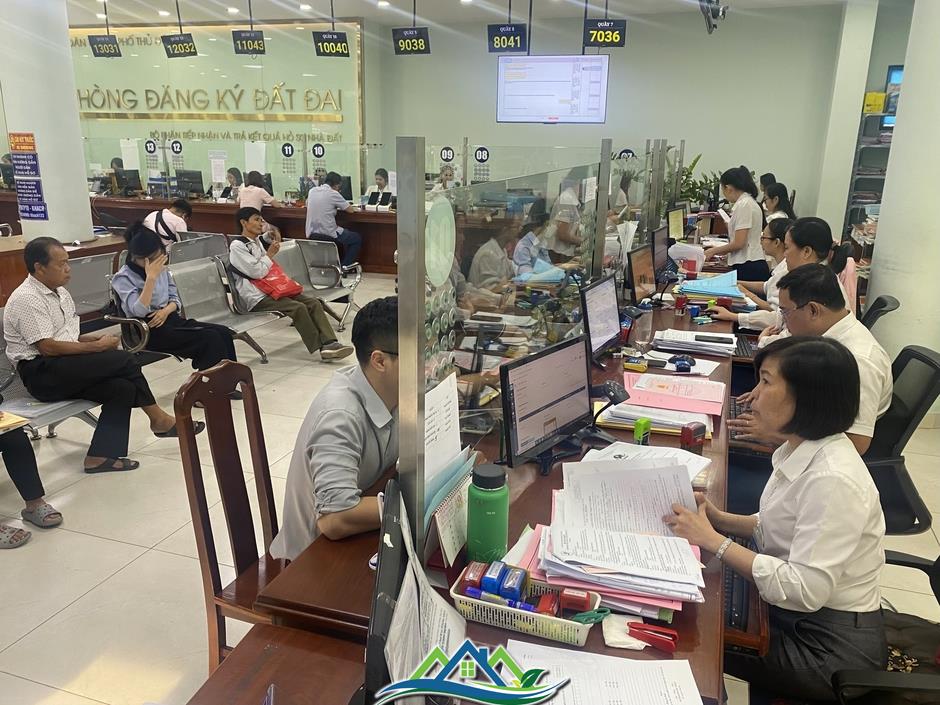 Thực hư đơn phản ánh 