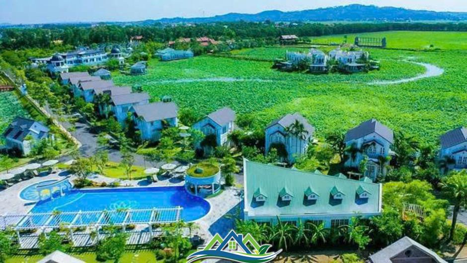 TIG muốn chuyển nhượng công ty con tại Hungary