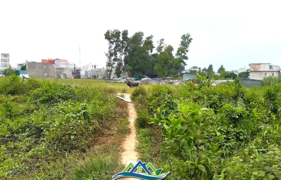 Tin lời 'cò đất', hàng trăm cư dân mua đất dự án điêu đứng Tin lời 'cò đất', hàng trăm cư dân mua đất dự án điêu đứng
