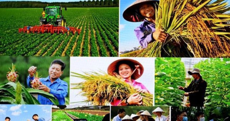 Tin vui cho hàng triệu người dân Việt Nam: Kéo dài thời hạn miễn thuế sử dụng đất nông nghiệp đến hết ngày 31/12/2030