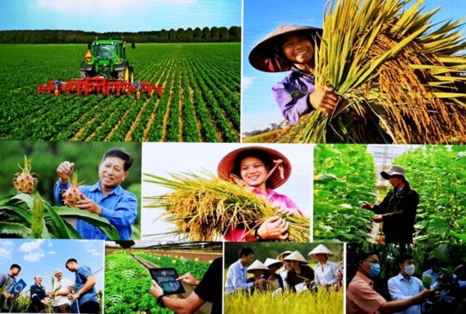 Tin vui cho hàng triệu người dân Việt Nam: Kéo dài thời hạn miễn thuế sử dụng đất nông nghiệp đến hết ngày 31/12/2030 Tin vui cho hàng triệu người dân Việt Nam: Kéo dài thời hạn miễn thuế sử dụng đất nông nghiệp đến hết ngày 31/12/2030