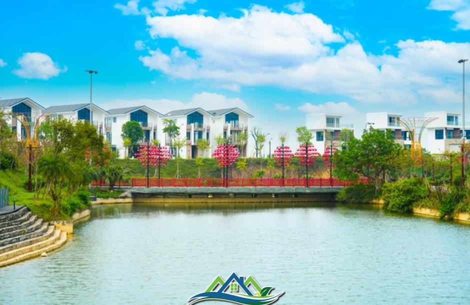 Tỉnh giấc giữa đồi thông, Legacy Hill và hành trình tìm về giá trị sống nguyên bản Tỉnh giấc giữa đồi thông, Legacy Hill và hành trình tìm về giá trị sống nguyên bản