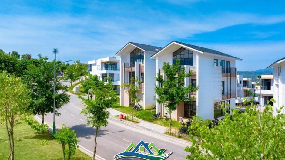 Tỉnh giấc giữa đồi thông, Legacy Hill và hành trình tìm về giá trị sống nguyên bản Tỉnh giấc giữa đồi thông, Legacy Hill và hành trình tìm về giá trị sống nguyên bản
