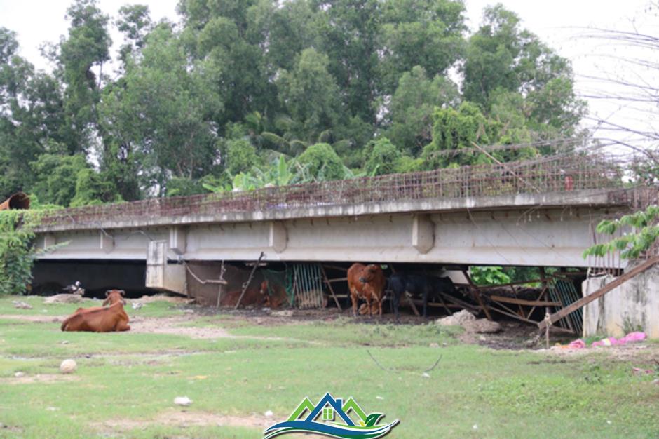 Vun bồi sức mạnh cho siêu đô thị: Trông chờ 3 tuyến vành đai Vun bồi sức mạnh cho siêu đô thị: Trông chờ 3 tuyến vành đai
